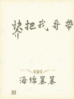 快把我哥带走简介