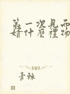 第一次见面送女婿什么礼物好