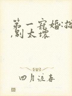 第一宠婚:总裁,别太坏