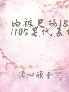 内裤尺码180/105是代表什么