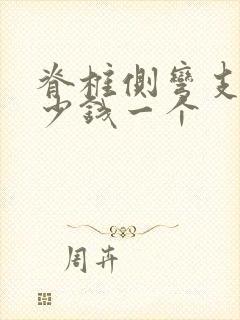 脊椎侧弯支具多少钱一个