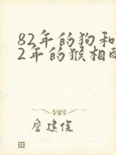 82年的狗和92年的猴相配怎么样