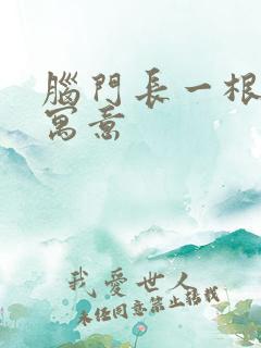 脑门长一根白毛寓意