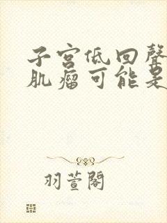 子宫低回声结节肌瘤可能是什么意思