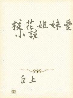 校花姐妹爱上我 小说