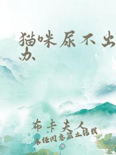 猫咪尿不出尿怎办