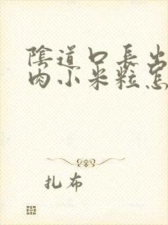 阴道口长出好多肉小米粒怎么回事