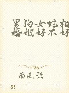 男狗女蛇相结合婚姻好不好