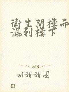 卫生间楼面漏水漏到楼下