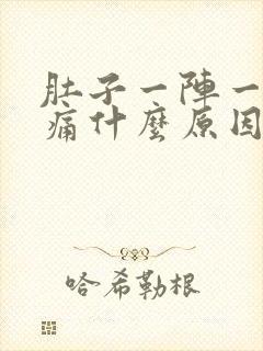 肚子一阵一阵的痛什么原因