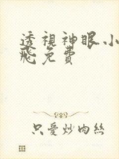 透视神眼小说林飞免费