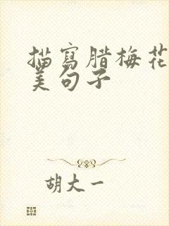 描写腊梅花的优美句子