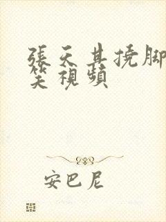 张天其挠脚心搞笑视频