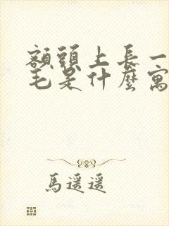 额头上长一根白毛是什么寓意