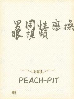 男同性恋操屁股眼视频