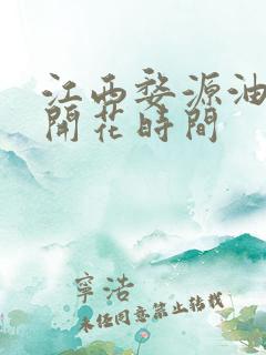 江西婺源油菜花开花时间