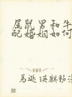 属鼠男和牛女相配婚姻如何