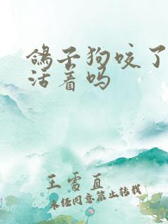 鸽子狗咬了还能活着吗