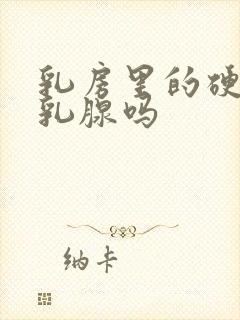 乳房里的硬块是乳腺吗