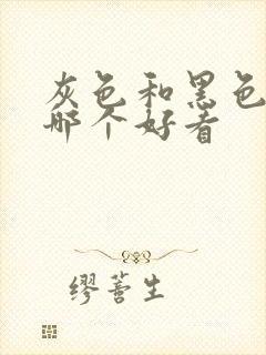 灰色和黑色裙子哪个好看