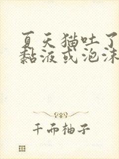 夏天猫吐了白色黏液或泡沫