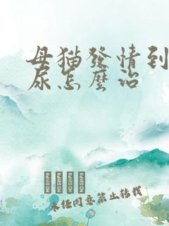 母猫发情到处乱尿怎么治