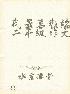 我最喜欢端午节二年级作文