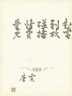 爱情碰到对的人免费播放电视剧