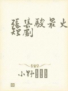 张集骏最火十部短剧