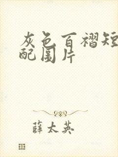 灰色百褶短裙搭配图片