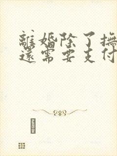 离婚除了抚养费还需要支付什么费用