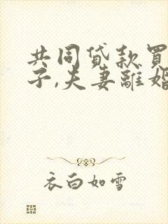 共同贷款买的房子,夫妻离婚,怎么办