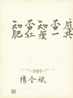 知否知否应是绿肥红瘦一共多少集