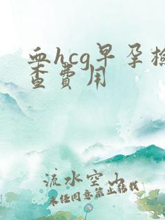 血hcg早孕检查费用