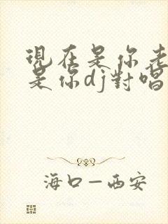 现在是你老了也是你dj对唱版