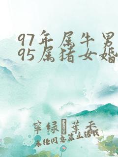 97年属牛男与95属猪女婚配