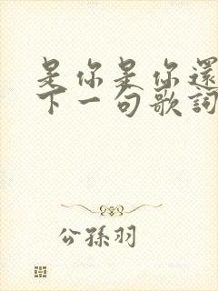 是你是你还是你下一句歌词是什么