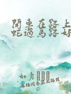 开车在路上看到蛇过马路好不好