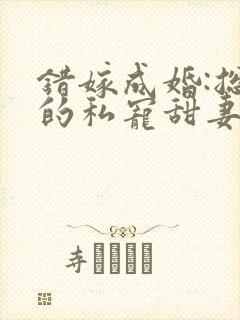 错嫁成婚:总裁的私宠甜妻短剧