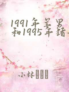 1991年羊男和1995年猪女相配吗