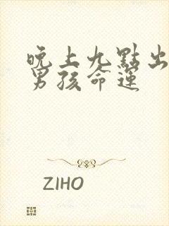 晚上九点出生的男孩命运