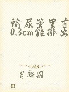 输尿管里有结石0.3cm能排出吗