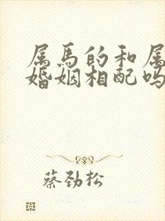 属马的和属牛的婚姻相配吗