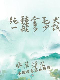 纯种金毛犬幼犬一般多少钱一只