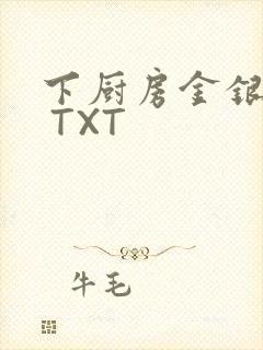 下厨房金银花露 TXT