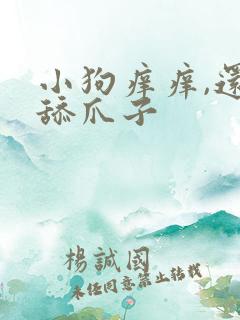 小狗痒痒,还总舔爪子