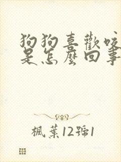 狗狗喜欢咬主人是怎么回事