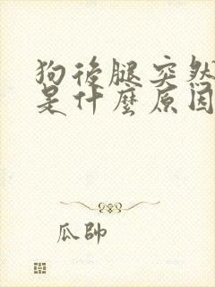 狗后腿突然瘸了是什么原因