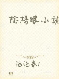 阴阳眼小说