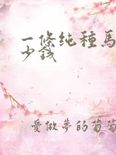 一条纯种马犬多少钱